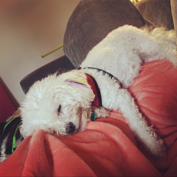 Hi! I’m Elisa - most call me E.  Just the letter E - Picture 5 of 13